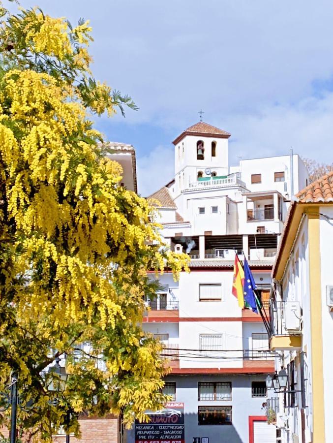 El Almendro De Maruja Daire Torviscón Dış mekan fotoğraf