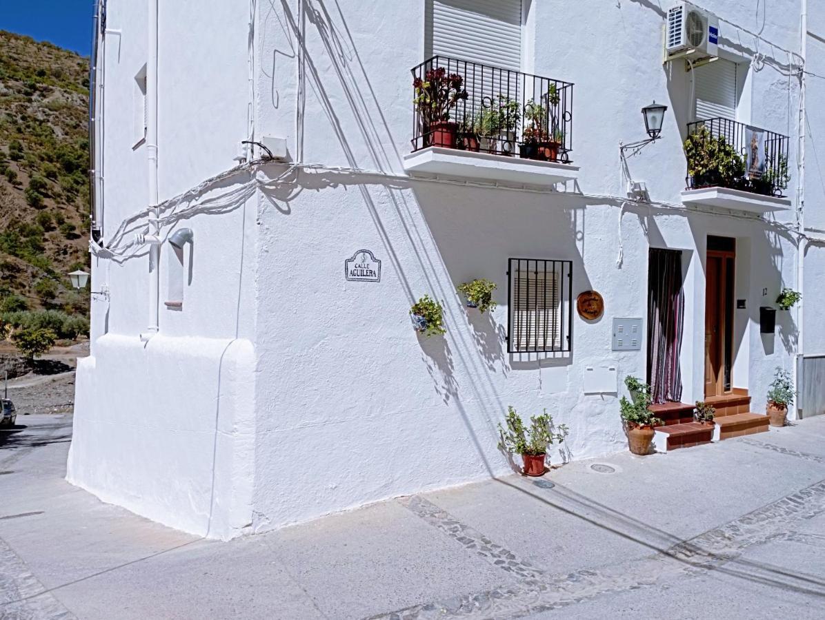 El Almendro De Maruja Daire Torviscón Dış mekan fotoğraf