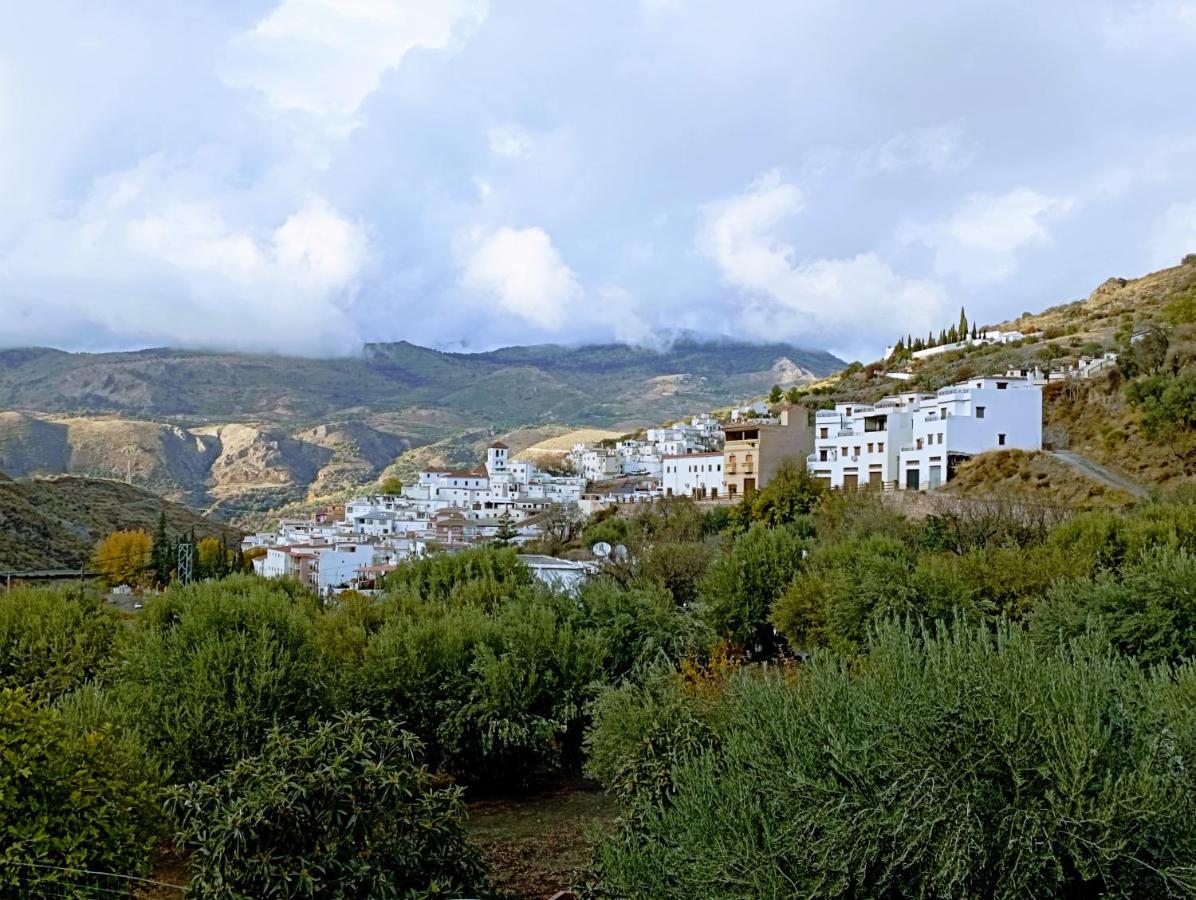 El Almendro De Maruja Daire Torviscón Dış mekan fotoğraf